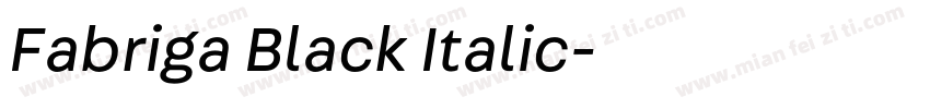 Fabriga Black Italic字体转换